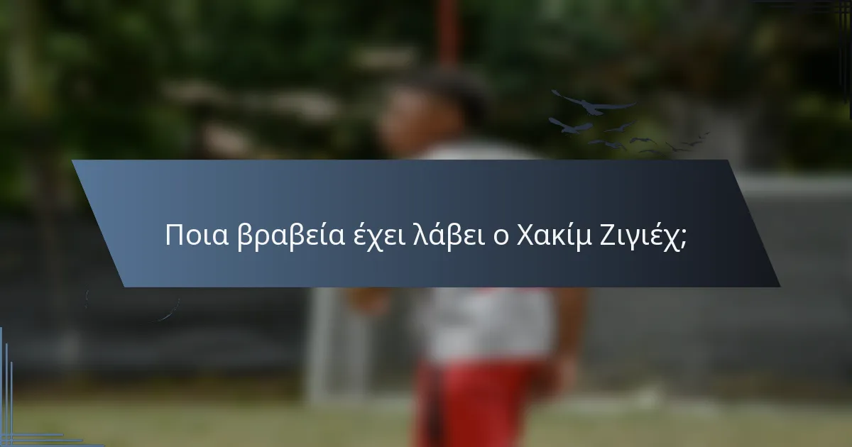 Ποια βραβεία έχει λάβει ο Χακίμ Ζιγιέχ;